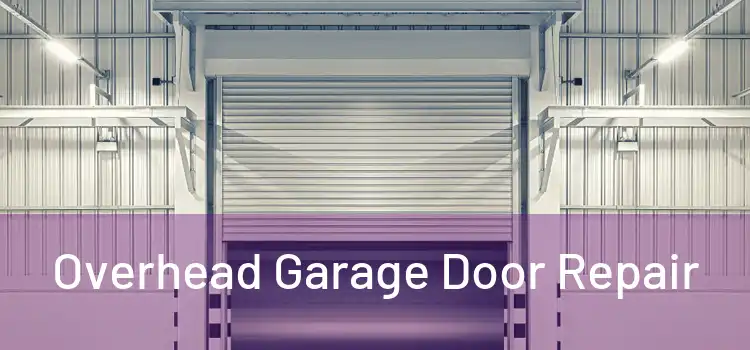  Overhead Garage Door Repair 
